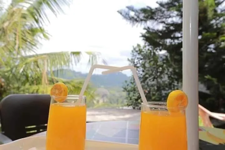 Peradeniya Green Mount Hotel Kandy Guest house